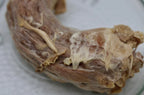 Turkey Neck